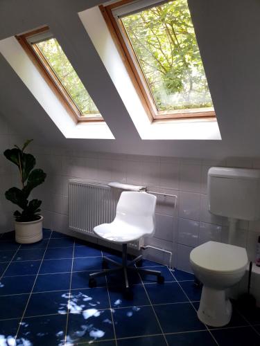 a bathroom with a toilet and a chair and skylight at Winterberg Vendégház in Óbánya