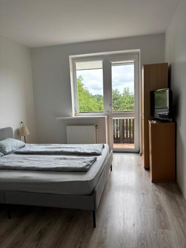 a bedroom with a bed and a television and a window at Birutės Vila in Palanga