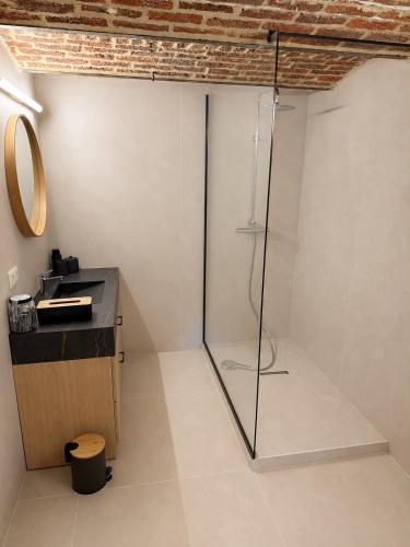 a bathroom with a shower with a glass door at La Petite Grange in Aywaille