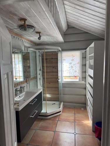 a bathroom with a shower and a sink at Neset Skydsstasjon in Flesberg
