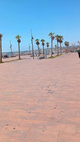 a park with palm trees and a bench on the beach at tbs1 in Safi