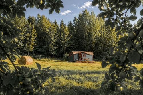 an old barn in a field with trees at Stativa Przygorze201 Sowie Góry in Przygórze