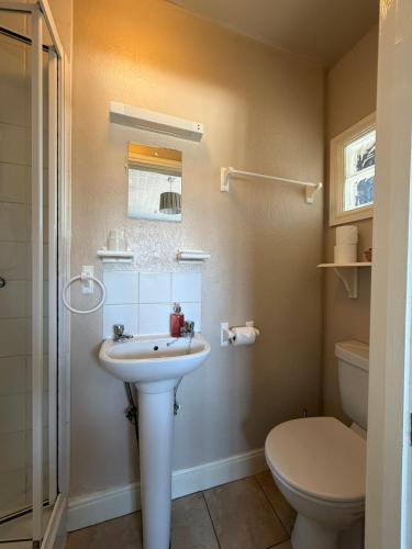 a bathroom with a sink and a toilet at Adam Place Guest House in Windermere