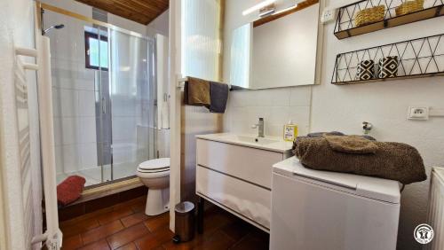a small bathroom with a toilet and a sink at Gîte de L'Abbaye in Nolay