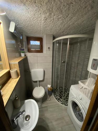 a bathroom with a shower and a toilet and a sink at Počitniška hiša Lily in Idrija