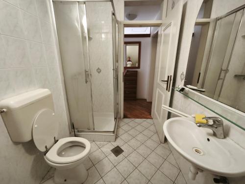 a bathroom with a toilet and a sink and a shower at Beli oblaki in Gradišče v Slovenskih Goricah