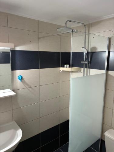 a bathroom with a shower with a toilet and a sink at Akrogiali studios in Vasilika