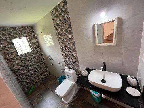 a bathroom with a sink and a toilet and a mirror at SHANKAR by the SEA, 50 meters from Mandrem Beach in Mandrem