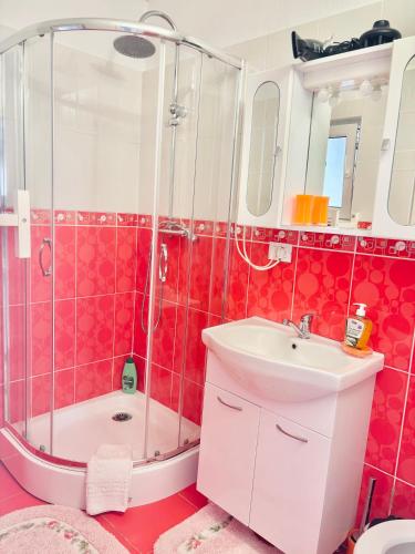 a bathroom with a shower and a sink at Apartament Adelina Borsa in Borşa