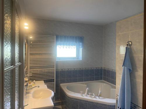 a bathroom with a tub and a sink at Rodinný dům Na Sibiři in Ledeč nad Sázavou