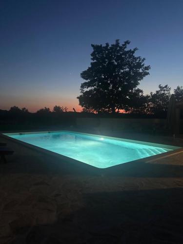a swimming pool at night with a tree in the background at Hidden Villa in Klarići