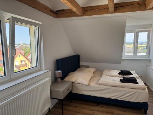 a bedroom with a bed and two windows at Bodenseeapartments in Friedrichshafen