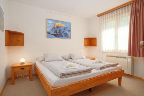 Apartment Grindelwaldgletscher - GRIWA RENT AG