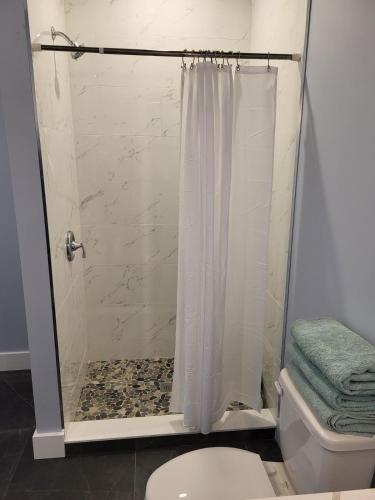 a bathroom with a shower with a toilet at Quarto Gananoque #1 in Gananoque
