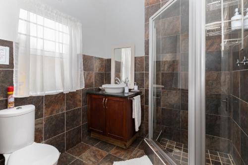 a bathroom with a toilet and a sink and a shower at Alfred View in Port Alfred