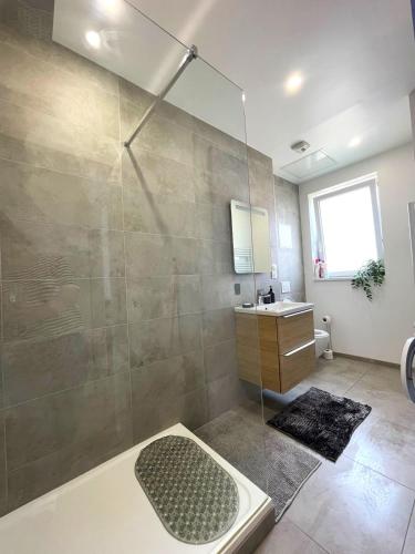 a bathroom with a shower and a sink at Appartement Fleur De Houblon in Schiltigheim