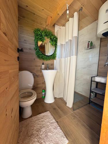 a bathroom with a toilet and a sink at Javorje Eco Cabin in Kolašin