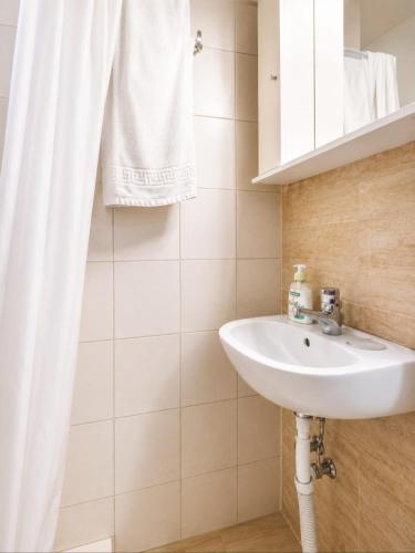 ein Badezimmer mit Waschbecken und Duschvorhang in der Unterkunft Demi Panda in Orestiada