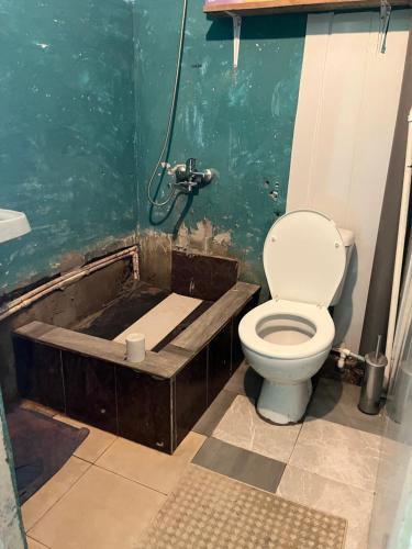 a bathroom with a toilet and a bath tub at Enjoy Georgian Regions in Tʼetʼri Tsqaro