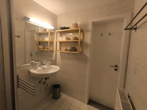 a small bathroom with a sink and a shower at Casa LuVilla in Braunlage
