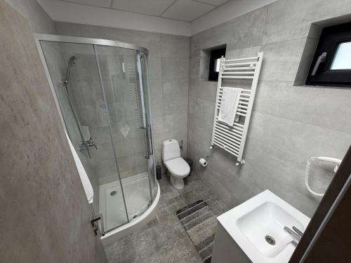 a bathroom with a shower and a toilet and a sink at Zen Rooms in Suceava