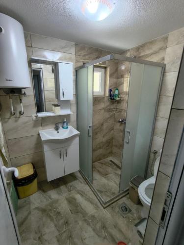 a bathroom with a shower and a sink and a toilet at Villa Nena in Mavrovi Anovi