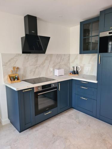 a kitchen with blue cabinets and a sink at La Dive Ligérienne - Gîte 2 chambres in Bourgueil