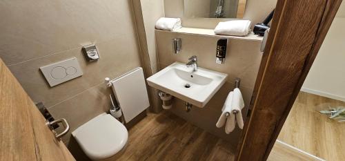 a small bathroom with a sink and a toilet at Schwaben Resort Ebnisee in Ebni