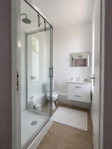 a bathroom with a shower and a toilet and a sink at Hôtel JurJura in Dole
