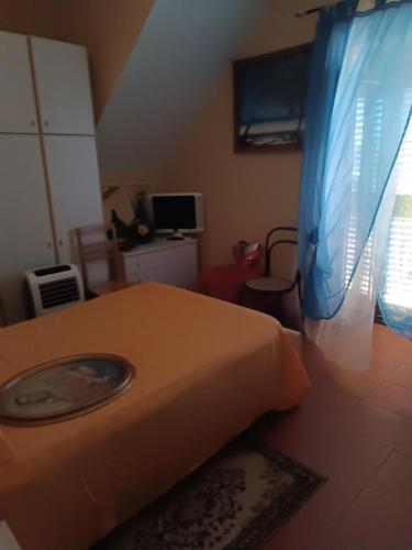 a bedroom with a bed with a blue curtain at VILLA flora e Riccardo in Fara San Martino
