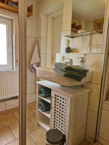 a bathroom with a sink and a mirror at Ferienwohnungen Villa Lütt in Bleckede
