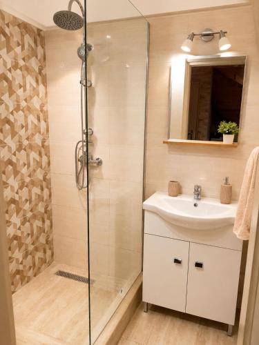 a bathroom with a shower and a sink at Pákász Nyaralóház in Tiszafüred