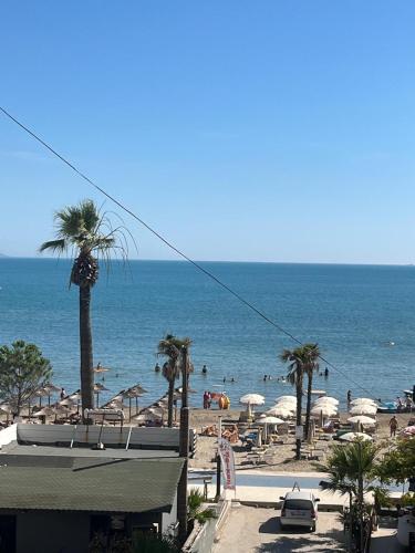 a beach with palm trees and people in the water at Amras house in Durrës