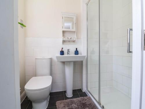 a bathroom with a toilet and a sink and a shower at Manning's View in Barnstaple