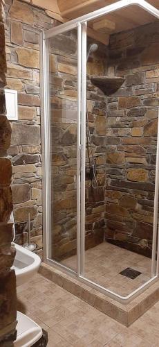 a bathroom with a shower in a stone wall at Будиночок улюблений in Shirokoye