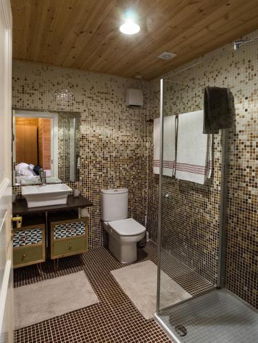 a bathroom with a toilet and a sink and a shower at Arbegain Etxea in Aizarna