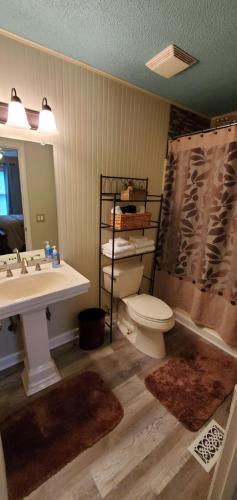 a bathroom with a toilet and a sink and a shower at Charming Country Cottage in Murfreesboro