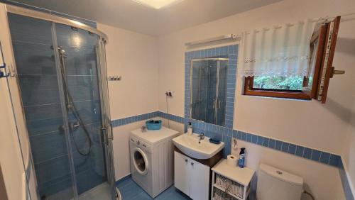a bathroom with a sink and a toilet and a shower at Urokliwy domek Młynarze in Młynarze