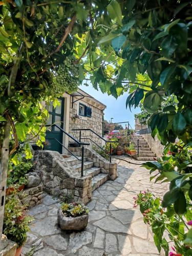 Paula Apartment - Green home by the sea