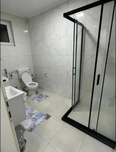 a bathroom with a glass shower and a toilet at Apartment Eneya in Pazarić