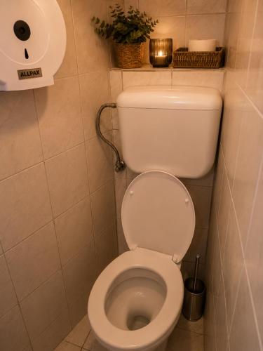 Modern Loft Studio with Private Kitchenette & Shower