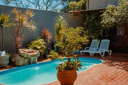a swimming pool with a potted plant in a yard at Pousada Nanai in Foz do Iguaçu