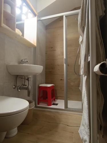 a bathroom with a shower with a toilet and a sink at Albergo Valgranda in Alleghe