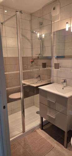 a bathroom with a glass shower and a sink at Studio Le Mûrier in Saint-Martin-dʼHères