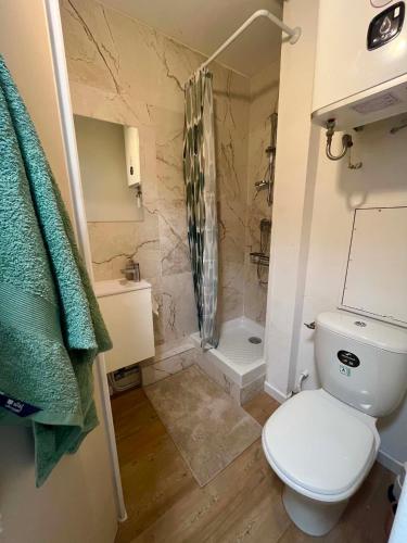 a bathroom with a toilet and a shower at Appartement 61 in La Ciotat