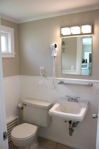 a bathroom with a toilet and a sink and a mirror at Scenic Vista Inn in North Conway