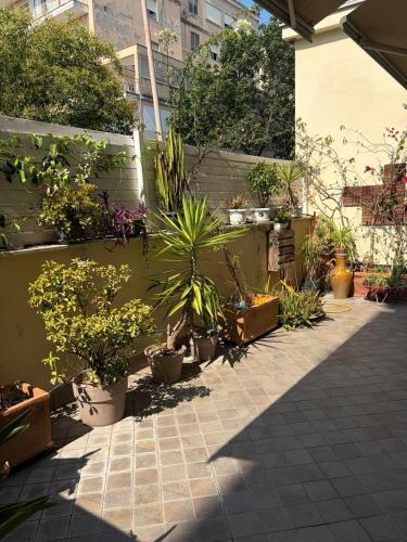 Artistic apartment in the center of Rome with garden