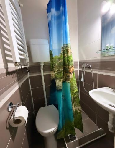 a bathroom with a toilet and a sink and a shower curtain at Balkan 024 in Subotica
