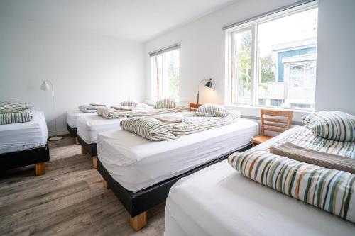 eine Gruppe von vier Betten in einem Zimmer in der Unterkunft Selfoss Hostel in Selfoss