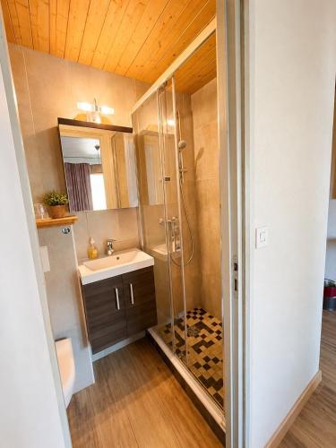 a bathroom with a shower and a sink at Chalet Hotel Alpaka in Châtel